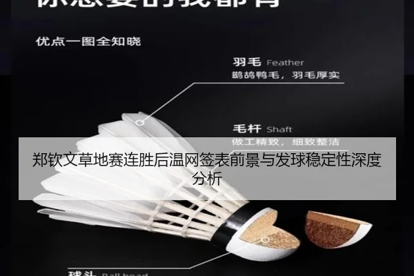 郑钦文草地赛连胜后温网签表前景与发球稳定性深度分析